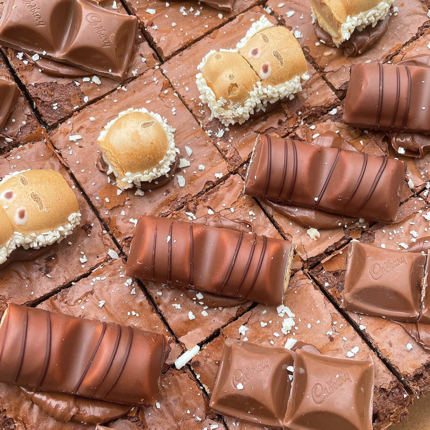 Brookie Slab cut into 16 pieces